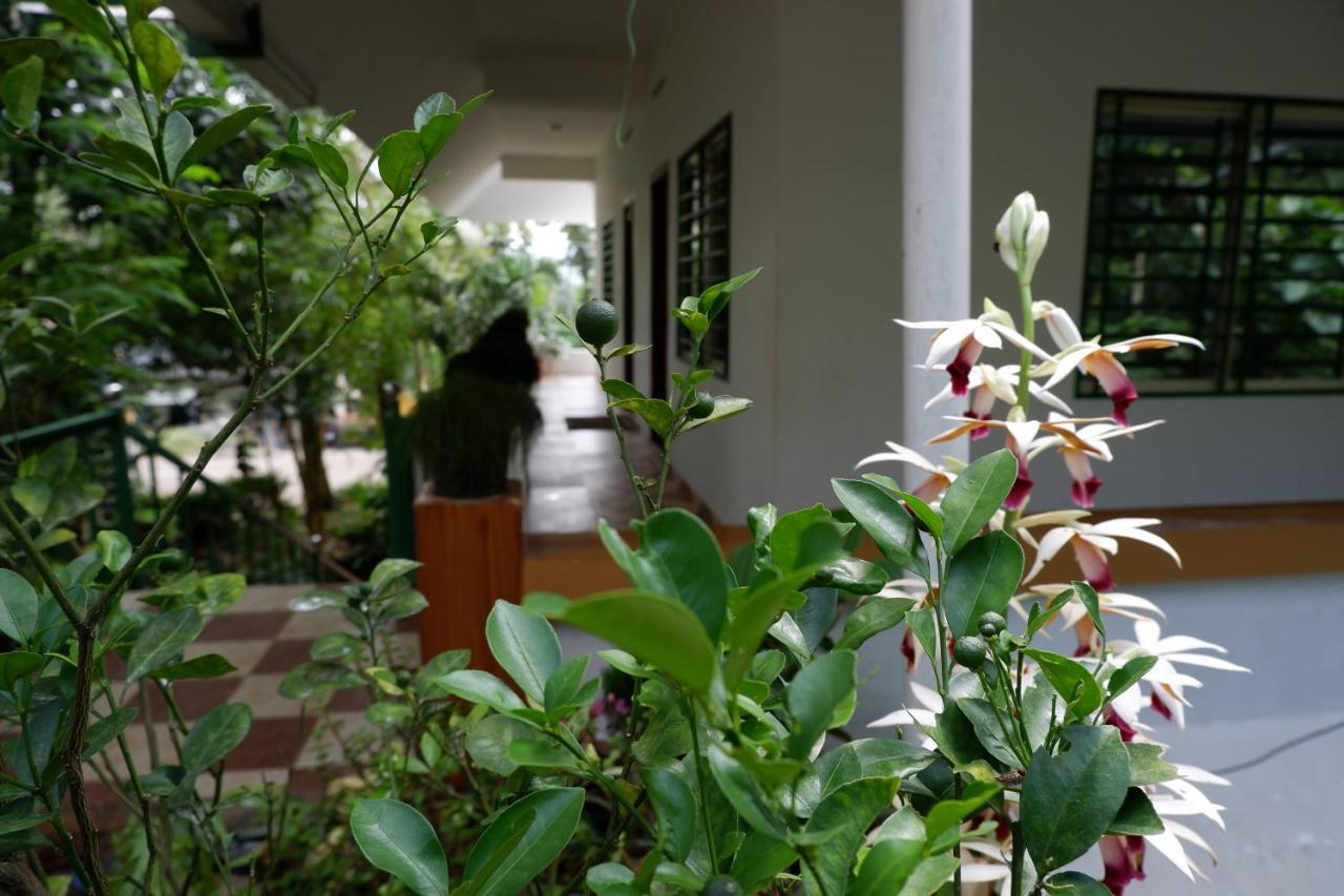 Wind Valley Ramakkalmedu Ngoại thất bức ảnh